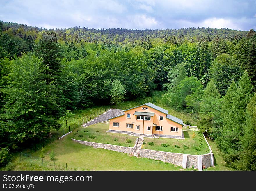 House between tree