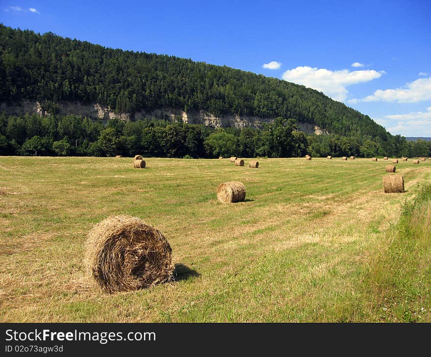 A photo taken in summer of a field in the state of Saxony, Germany near the Elbe River. A photo taken in summer of a field in the state of Saxony, Germany near the Elbe River.