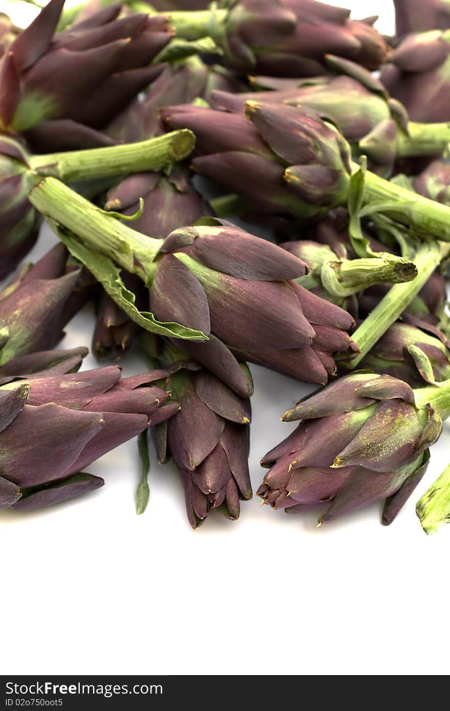 Artichokes Isolated Closeup