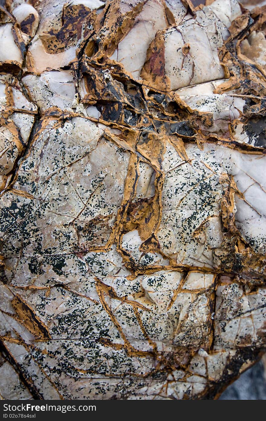 Rock texture on the beach