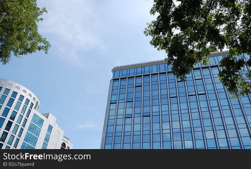 High-rise buildings against the sky and trees