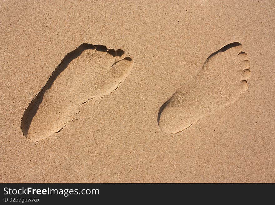 Footprints in the sand on the beach at the morning