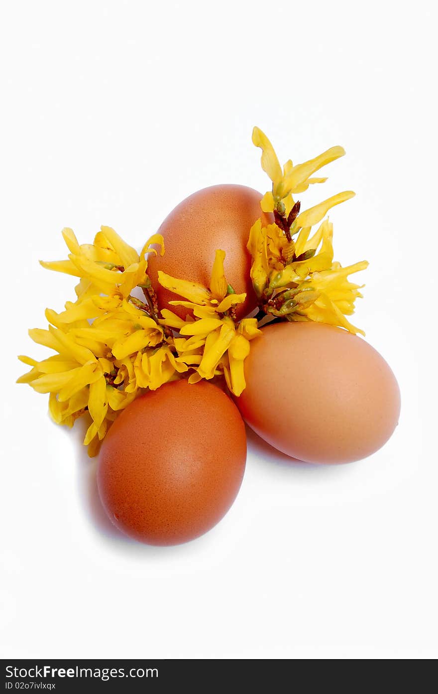 Easter egg decoration with brown and yellow flowers. Easter egg decoration with brown and yellow flowers