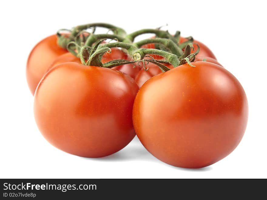 Bunch of tomatoes