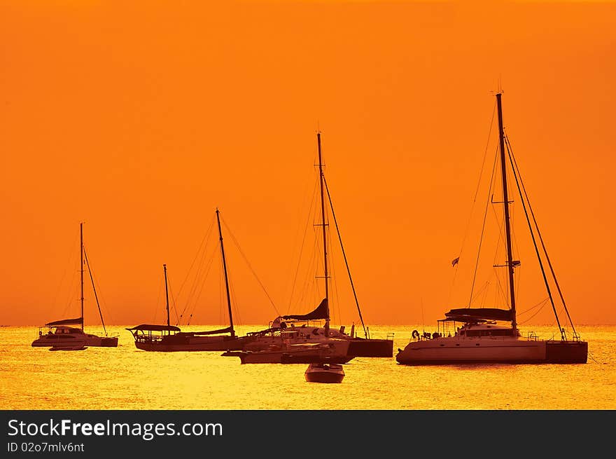 Regetta race resting, Samui island, Thailand