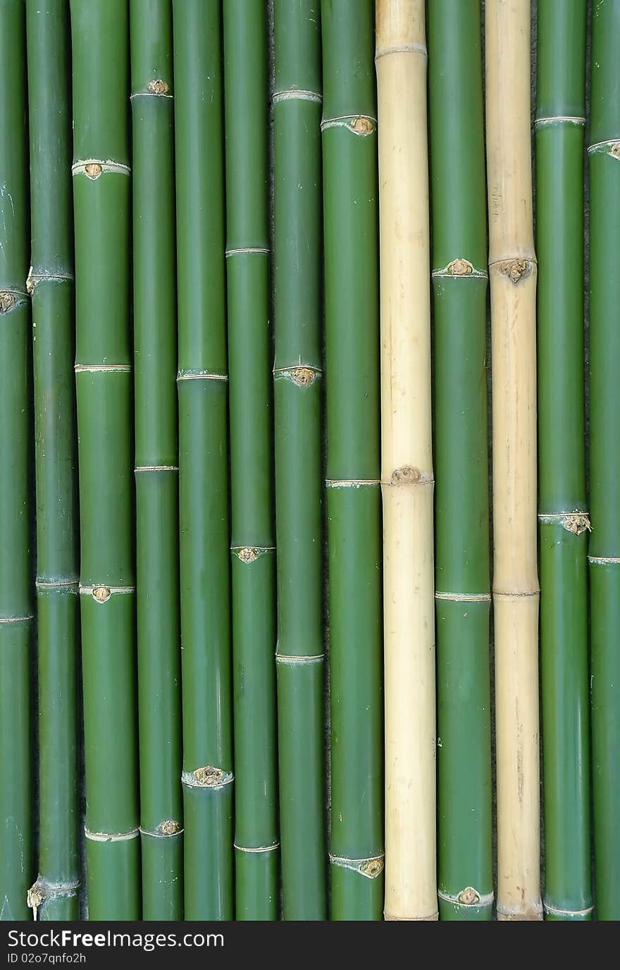 Green vertical chinese bamboo background