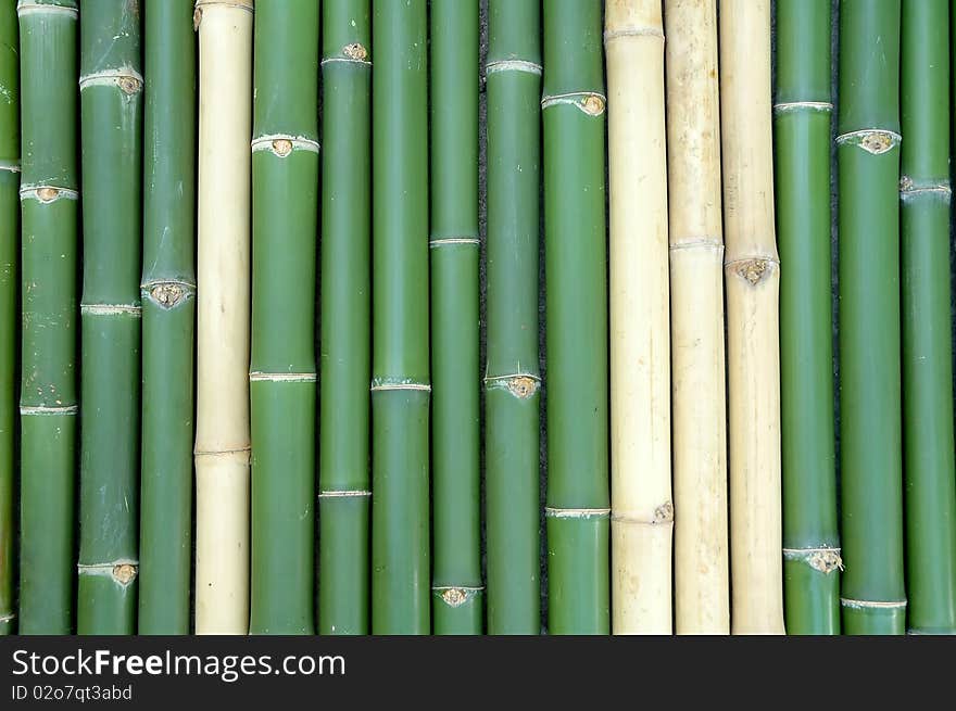 Green vertical chinese bamboo background