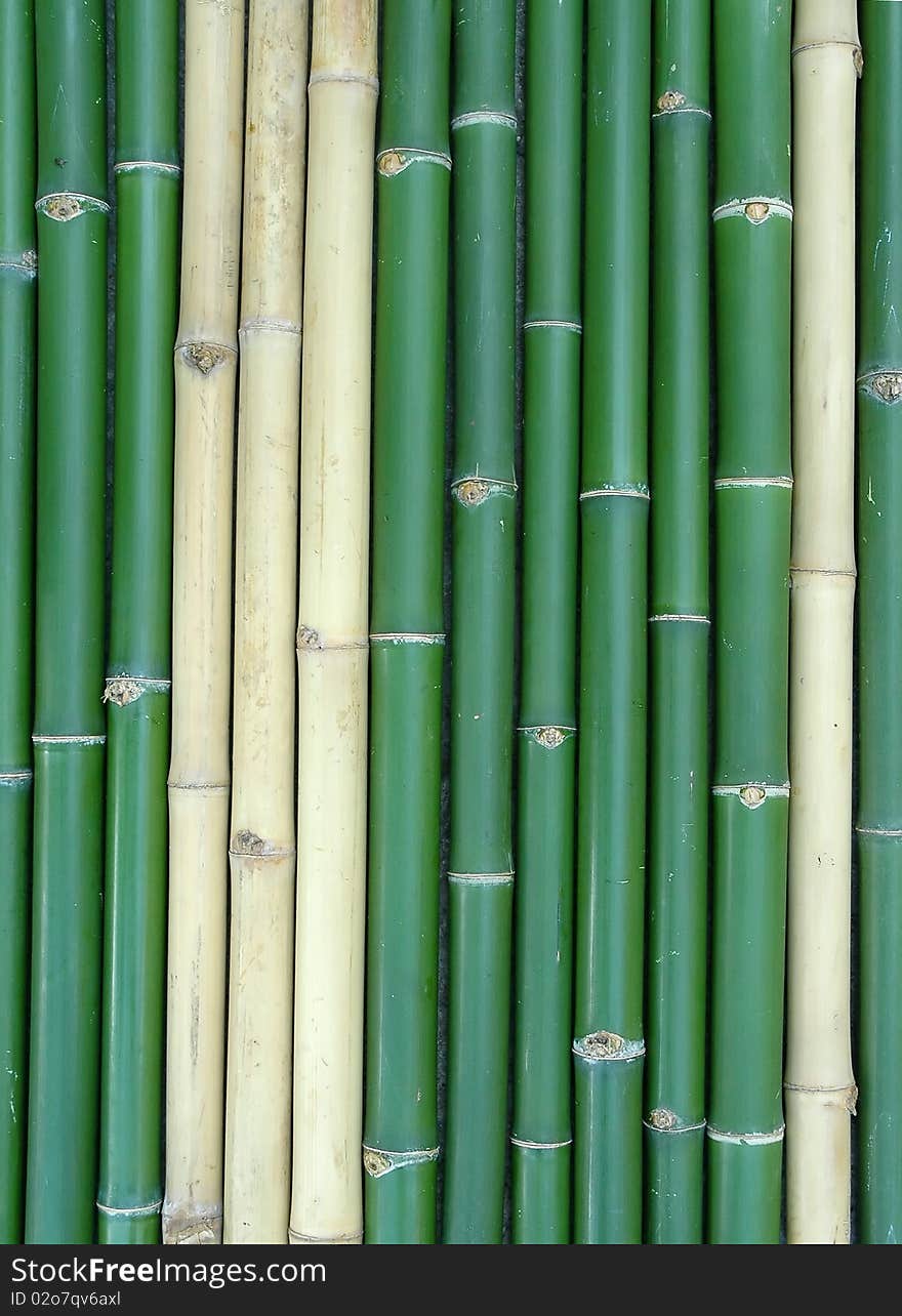 Green vertical chinese bamboo background