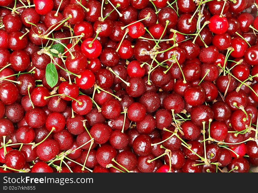 Some beautiful sweet ripe cherry in pile. Some beautiful sweet ripe cherry in pile