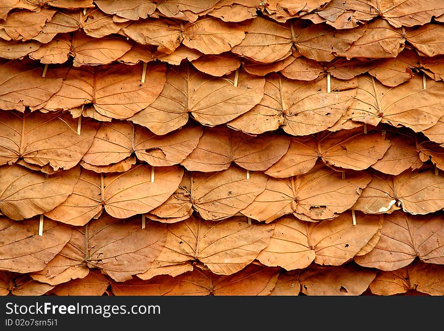 Texture of leave roof in thai country house