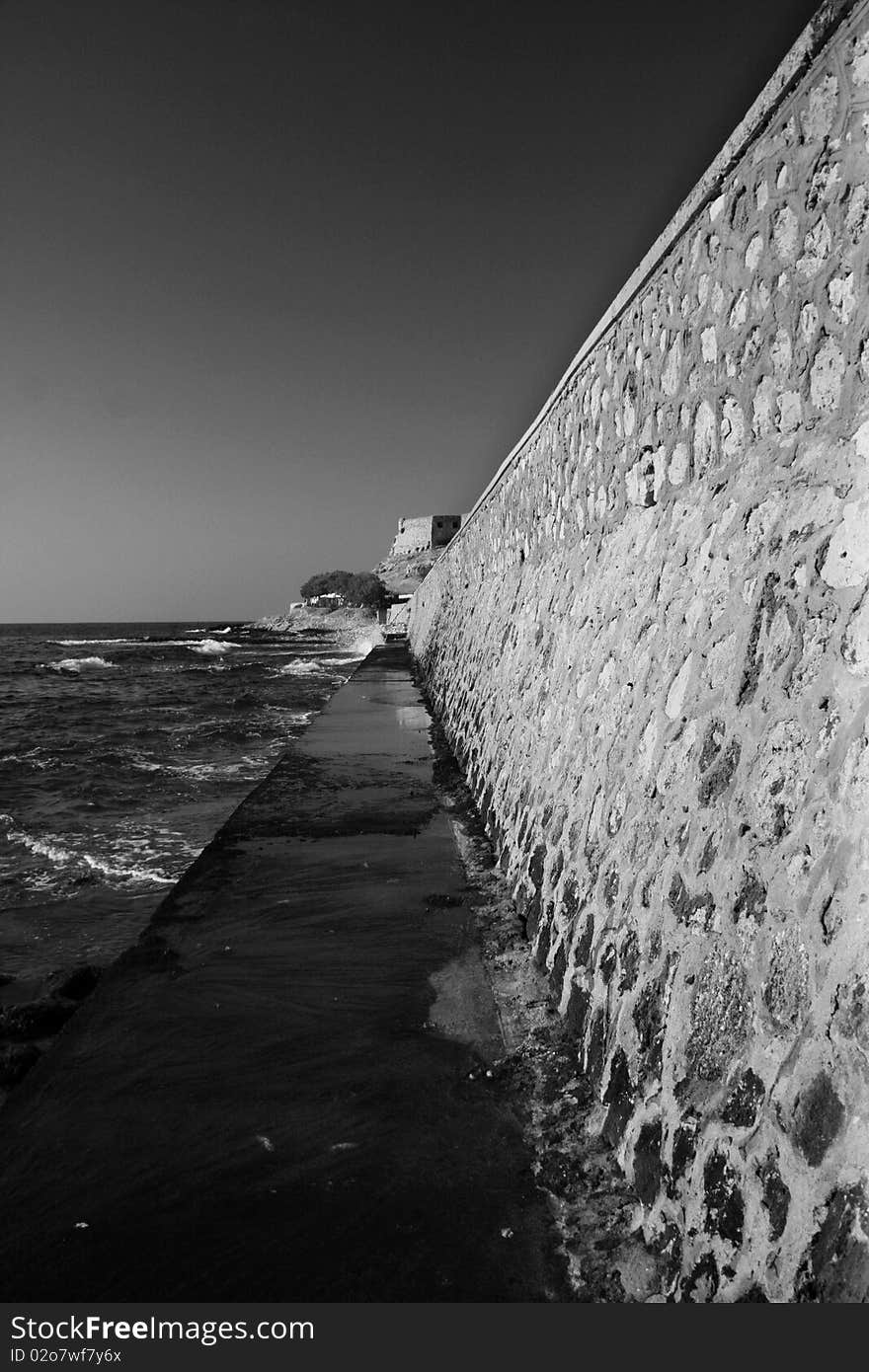 Black/white picture of the sea whall, nature. Black/white picture of the sea whall, nature