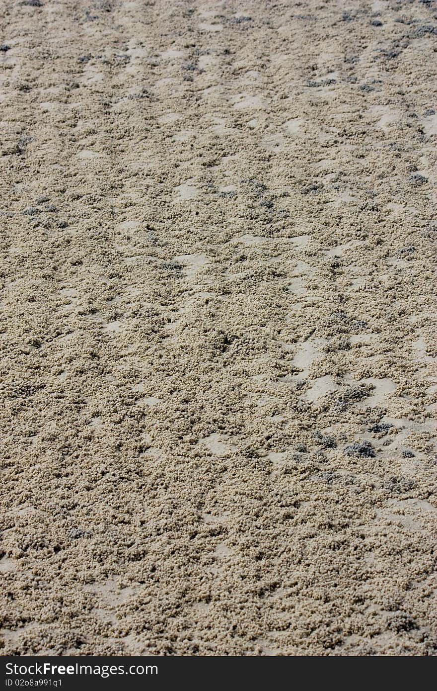 The texture of sand beach. The texture of sand beach