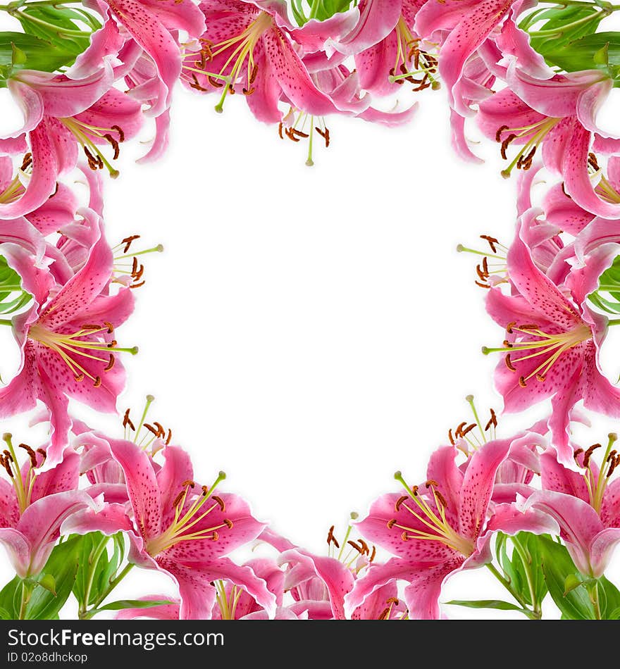 Frame of pink lilies