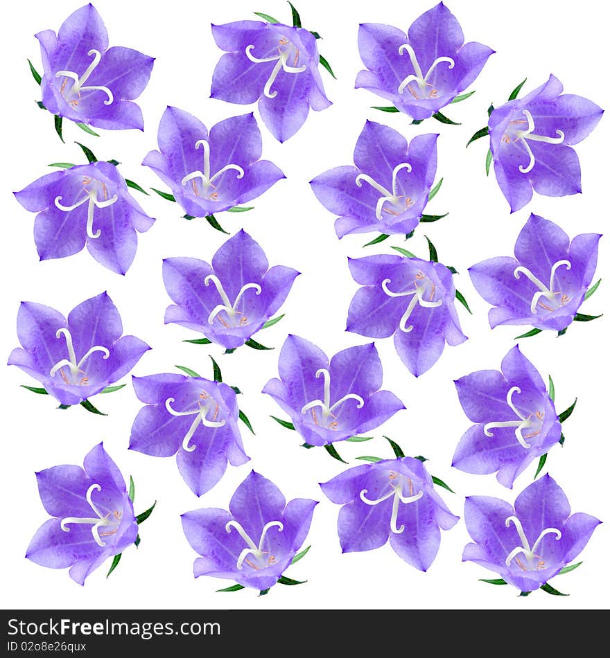 Abstract background of flowers on a white background