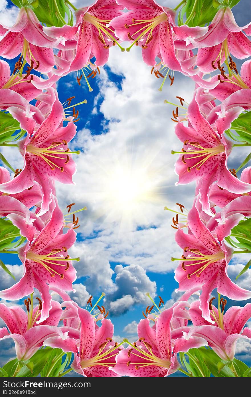 Frame of pink lilies on a background of sky and sun