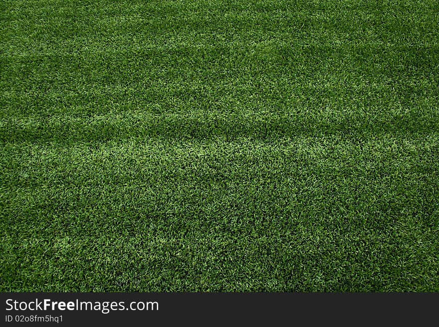 The Beautiful Green Grass of soccer field