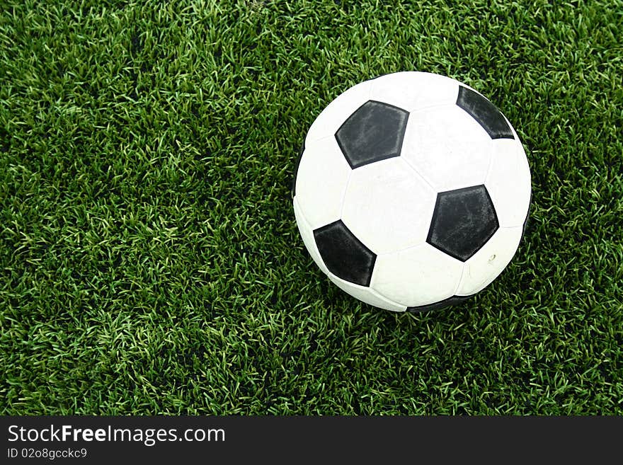 The soccer ball on green grass