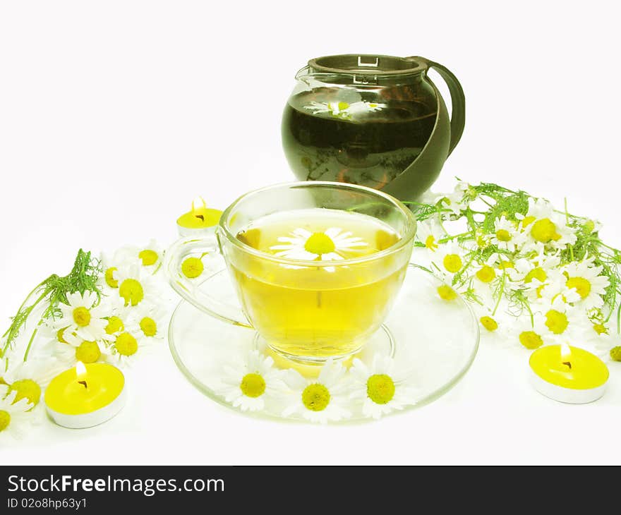 Herbal tea with daisy field flowers. Herbal tea with daisy field flowers