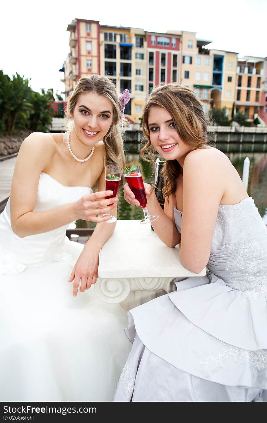 Two attractive young women are wearing formal attire and sitting on a dock sharing a drink. Vertical shot. Two attractive young women are wearing formal attire and sitting on a dock sharing a drink. Vertical shot.