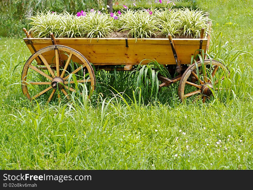 Flower Carriage