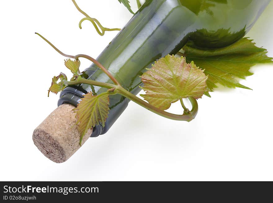 Picture of grape-vine and bottle for wine