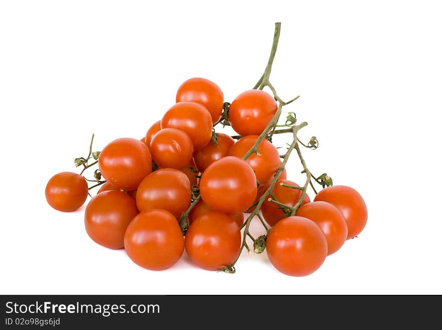 Branch of tomatoes cherry in isolated over white