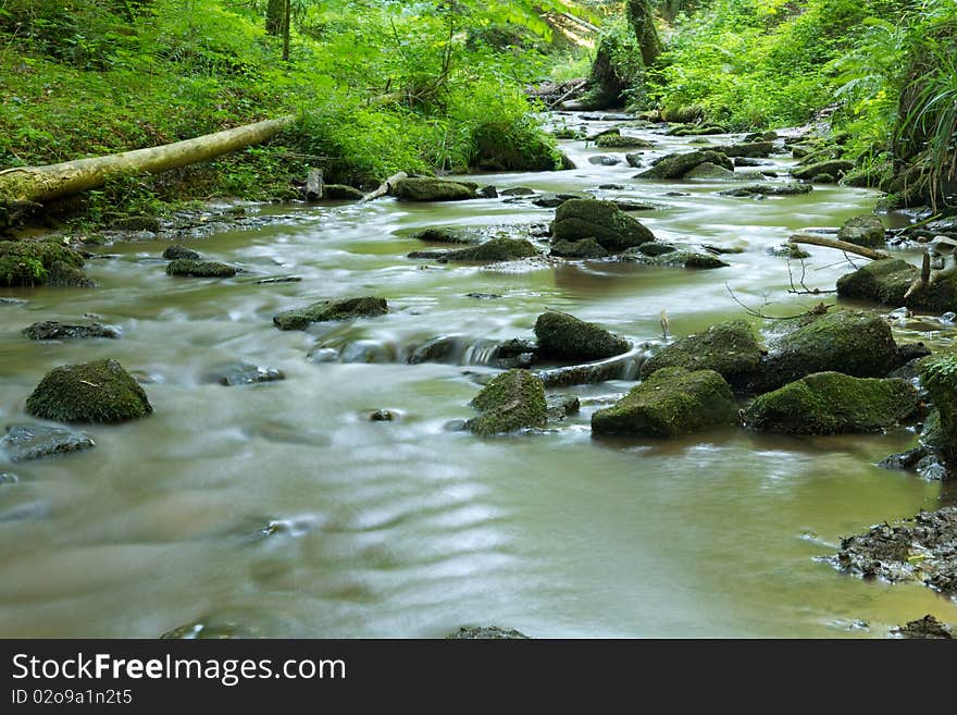 Mountain river in the forest