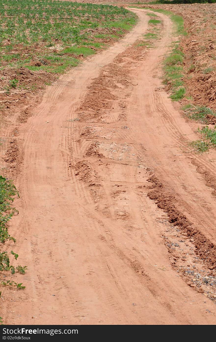 Close up s curve road in cassava farm