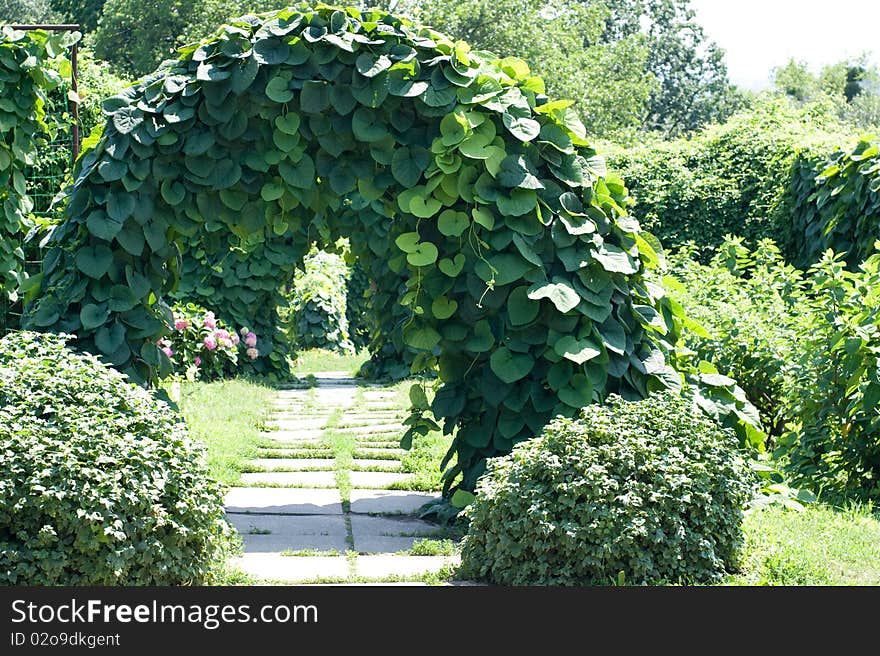 Garden green arch from lian