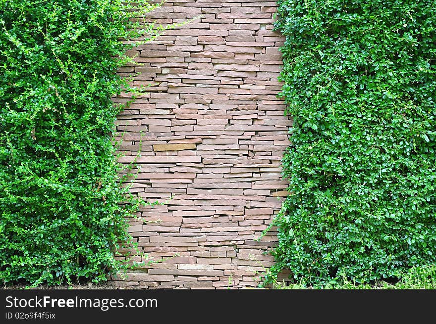 Stone and grass background view