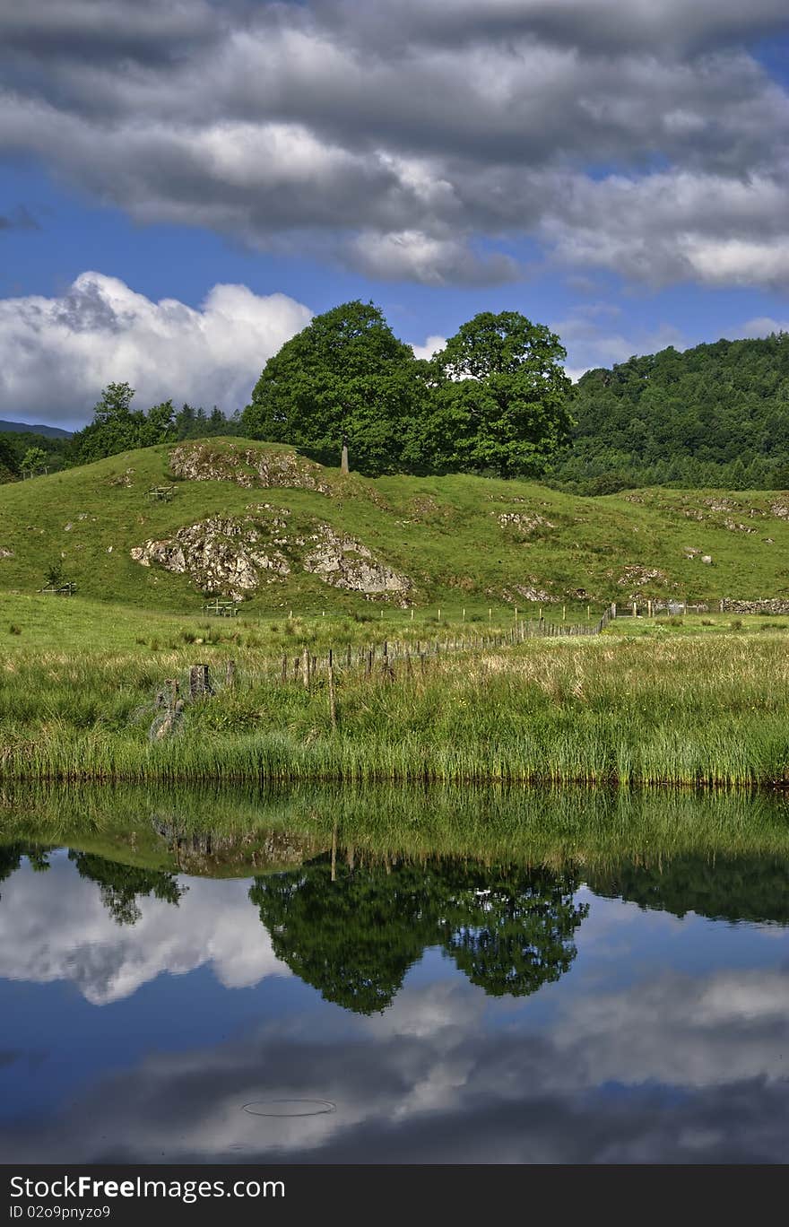 Tree reflections in the river Brathay