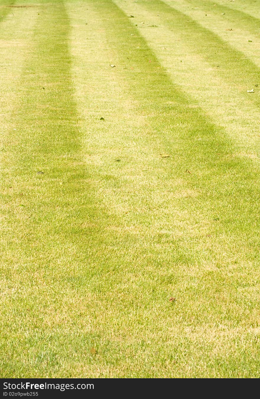 An image of a 'manicured' lawn with stripes and no weeds. An image of a 'manicured' lawn with stripes and no weeds.