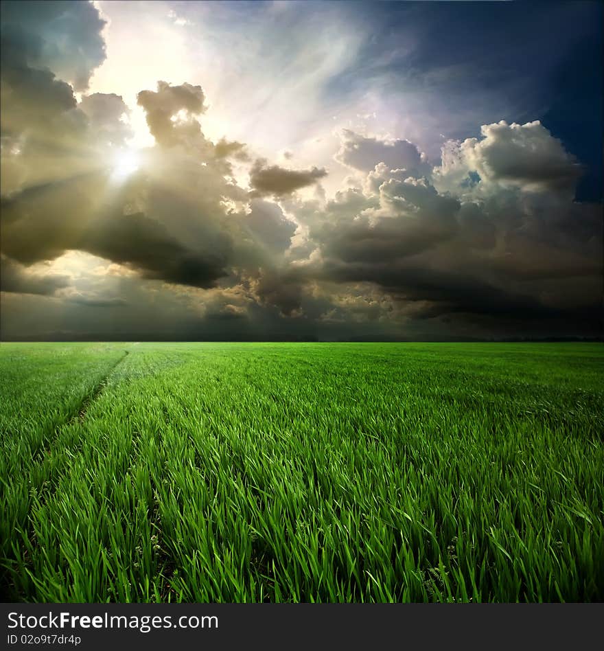 Green field against the sky. Green field against the sky