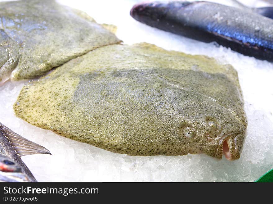 Flatfish in the ice at the market