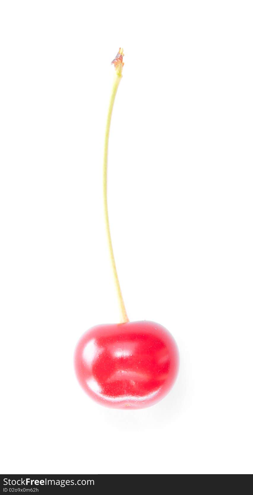 One ripe cherry.