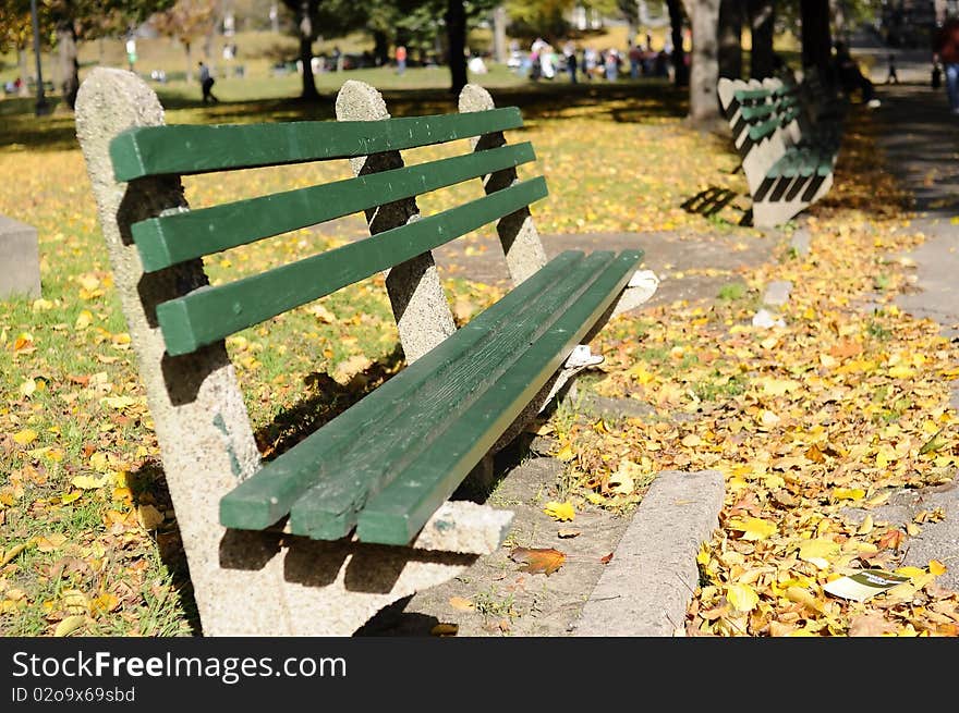 Empty Bench in Boston Public Park, Boston, USA.
SDOF. Focused middle of the first bench.