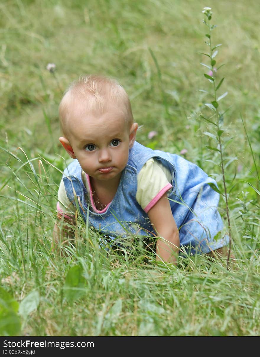 Little girl crawls into the high green grass. Little girl crawls into the high green grass