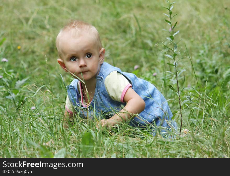 Little girl crawls into the high green grass. Little girl crawls into the high green grass