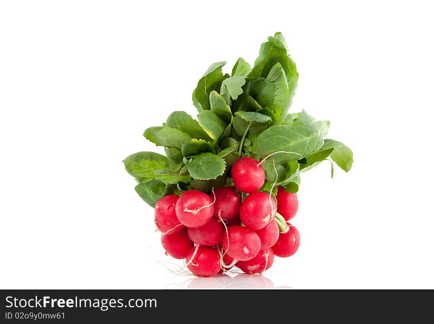 A Bunch Of Red Radish