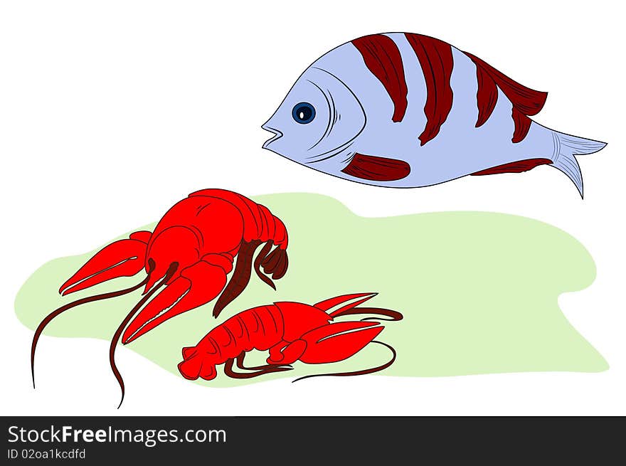 Illustration of two lobsters ans a fish. Illustration of two lobsters ans a fish.