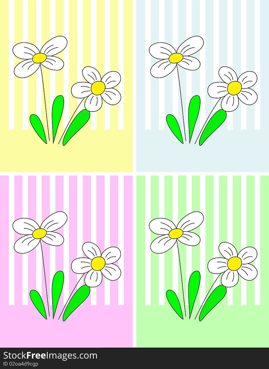 White flowers with four colorful backgrounds