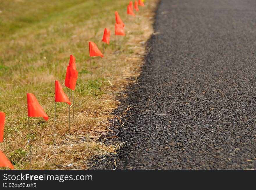 A bunch of racing flags stuck in the ground