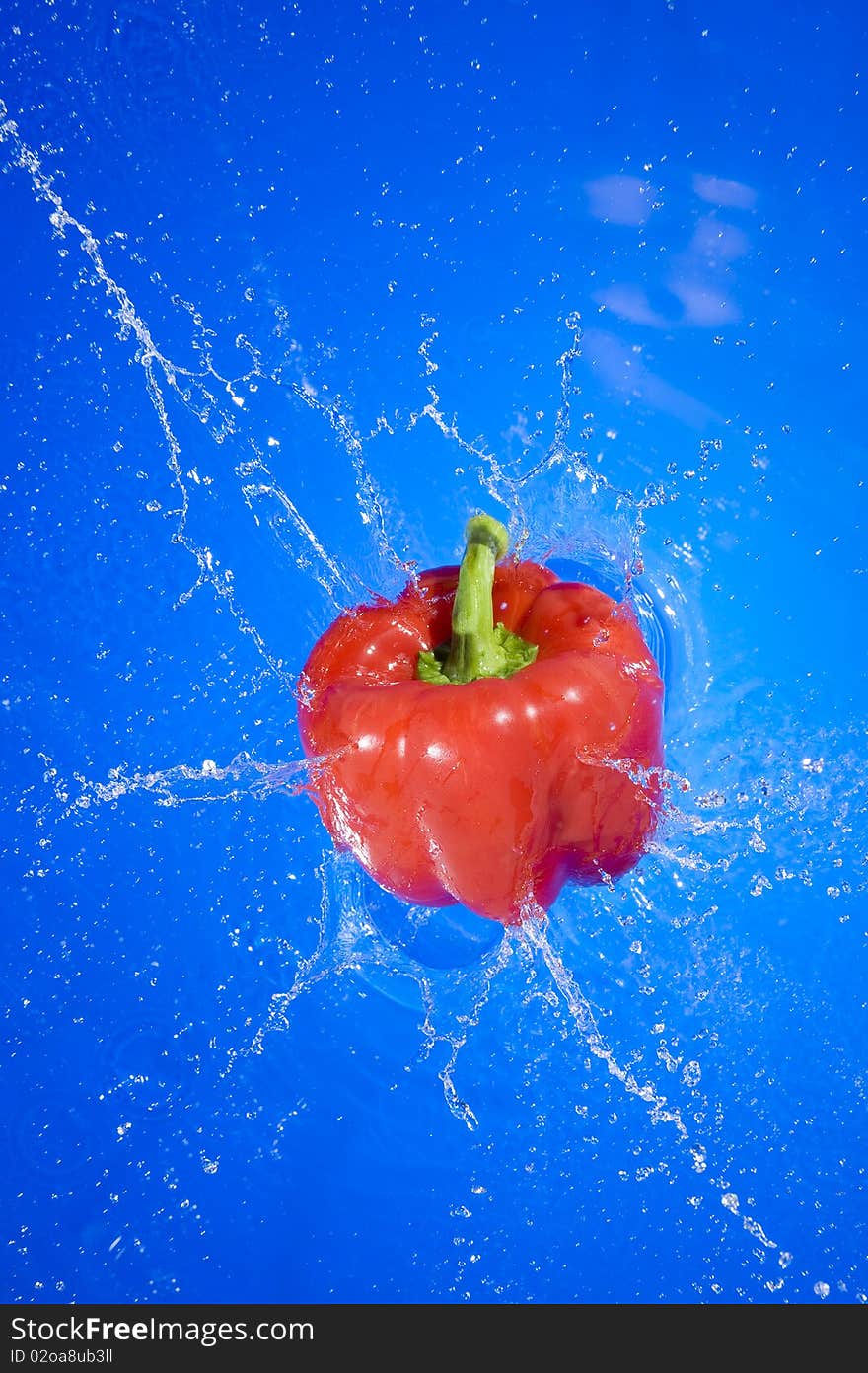 Red pepper falling on the fresh blue water