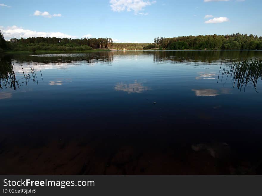 Summer lake, blue sky, green coast, waves.