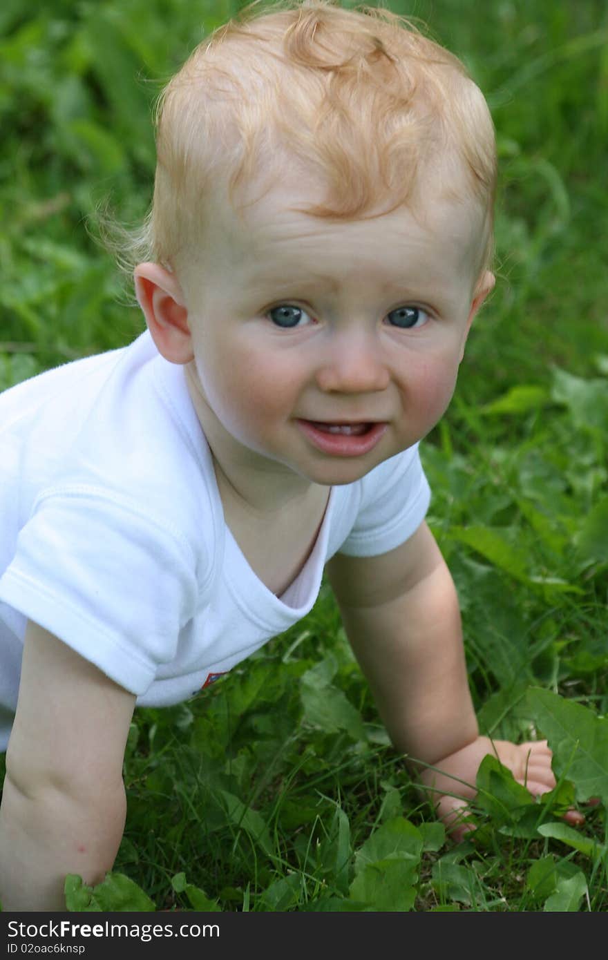 Small little boy looks happy in the nature. Small little boy looks happy in the nature