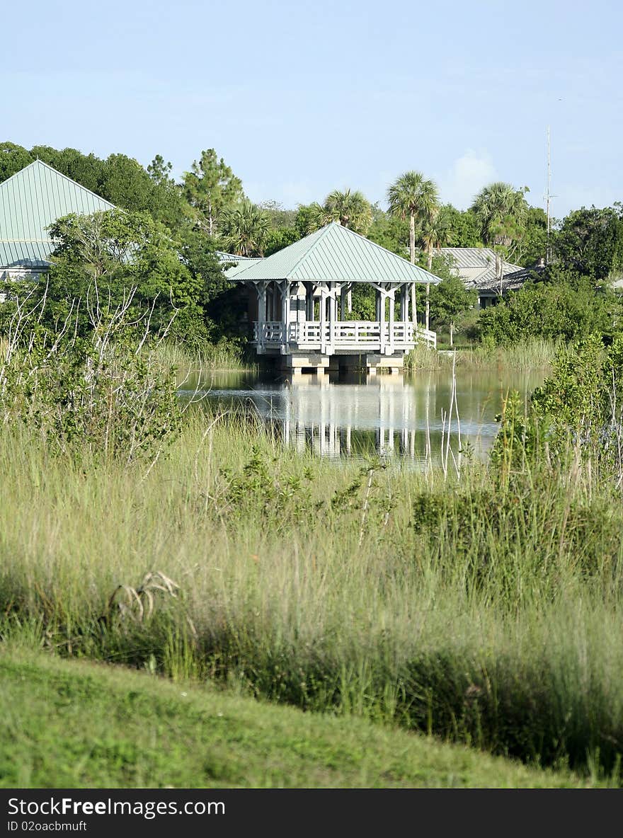 A trip to the Everglades.