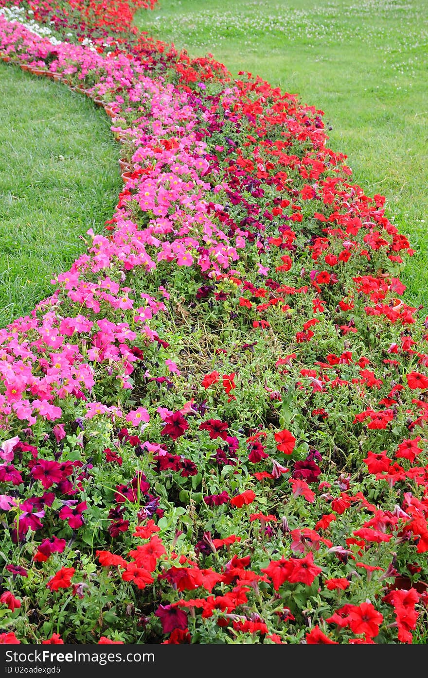 S shaped flower bed in meadow