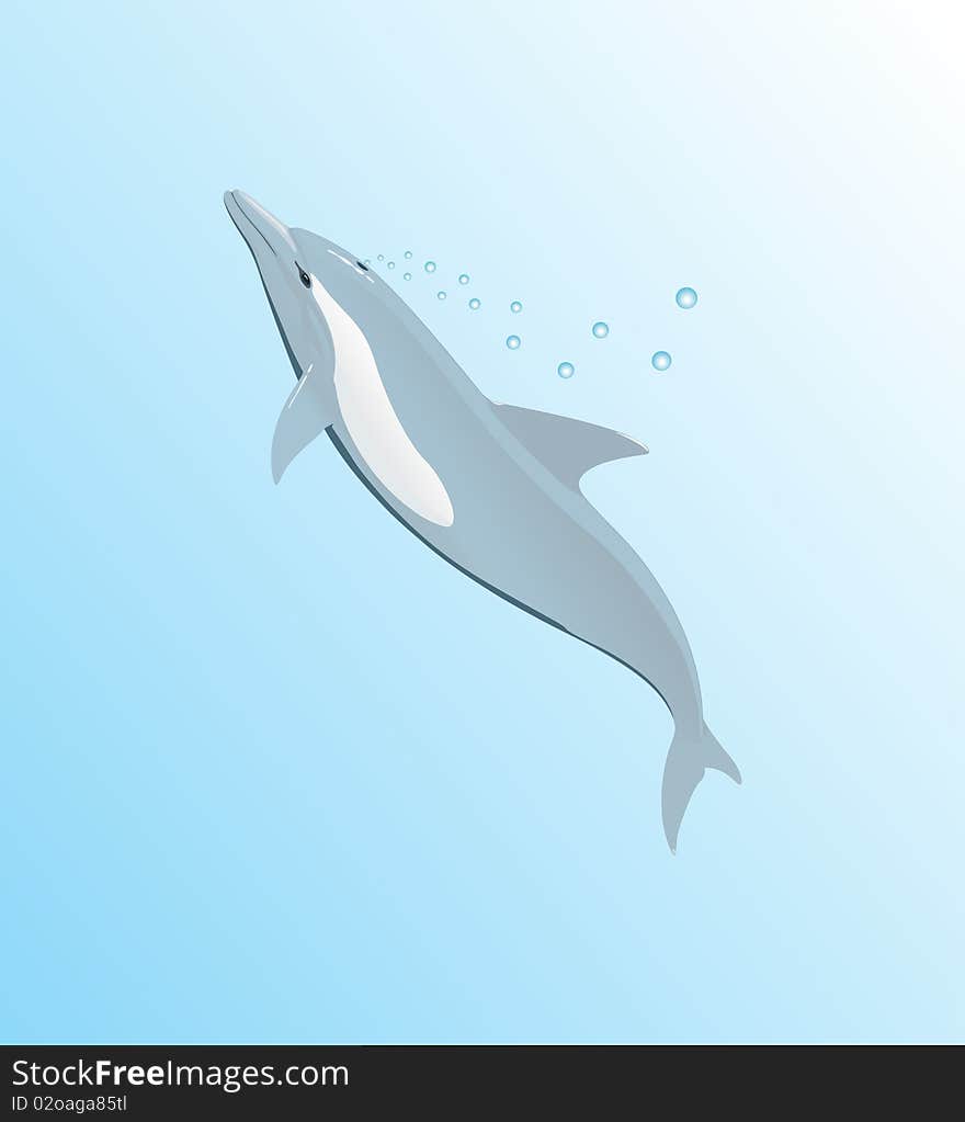 The dolphin floats in the top sheet of water. A  illustration