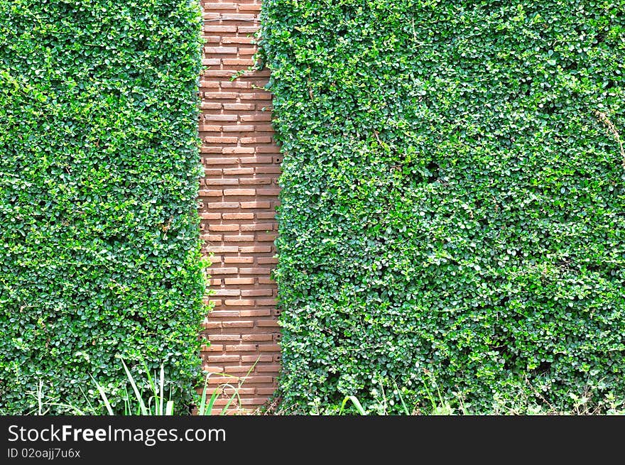 Nature stone and green grass. Nature stone and green grass