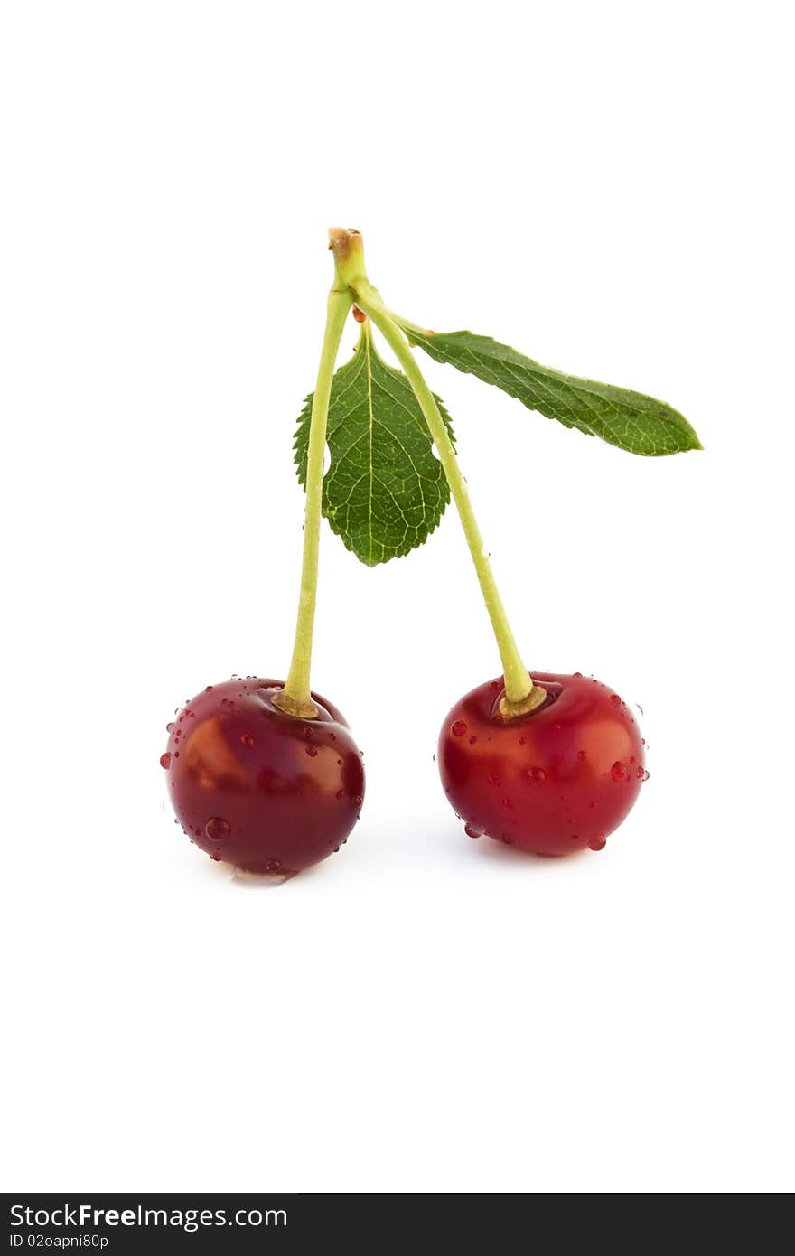 Two red cherries with drops of dew